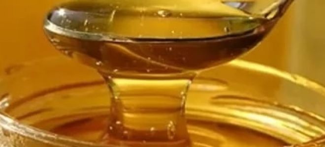 Можно ли есть мед при гастрите