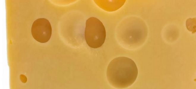 Можно ли сыр при гастрите