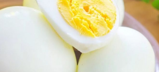 Яйца при поносе и диарее