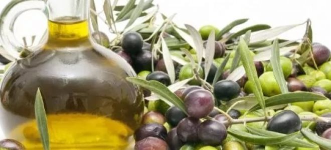 Как принимать оливковое масло при запорах