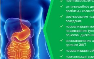 Какие бывают болезни желудка и кишечника