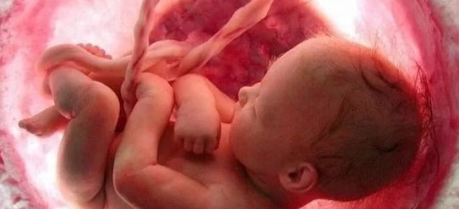 Почему ребенок икает в животе у беременной