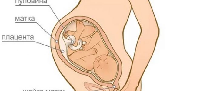 Тошнота на 39 неделе беременности