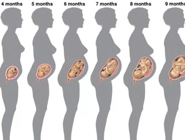 Расстройство кишечника в первом триместре беременности