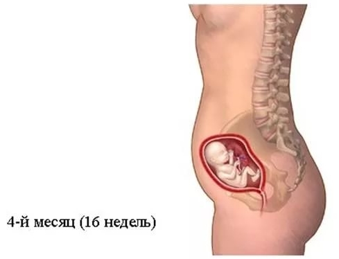 Постоянные боли внизу живота на 16 недели беременности thumbnail