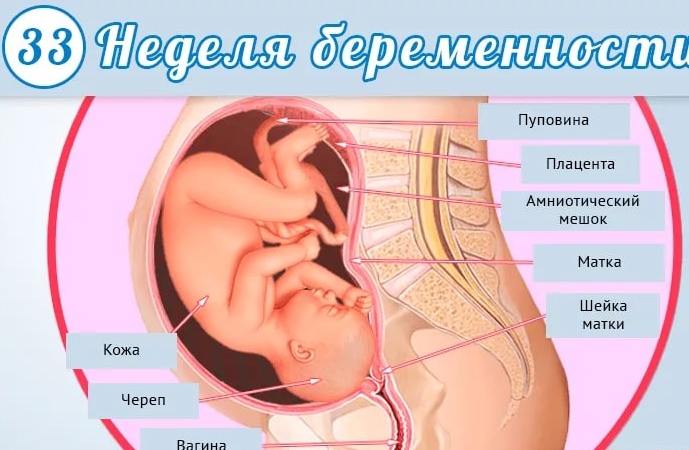 33 34 недели беременности боли внизу живота thumbnail